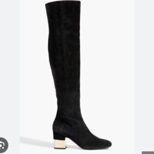 Roger Vivier Women’s Suede over-the-knee boots